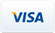 Visa payment icon