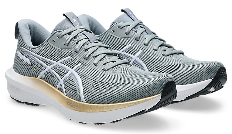 Asics GT1000 v14 Road Running Sneaker (Women’s)
