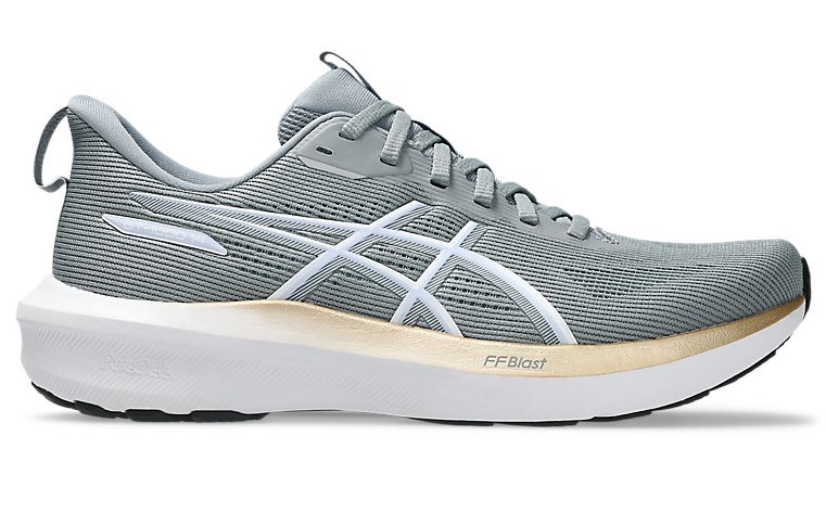 Asics GT1000 v14 Road Running Sneaker (Women’s)
